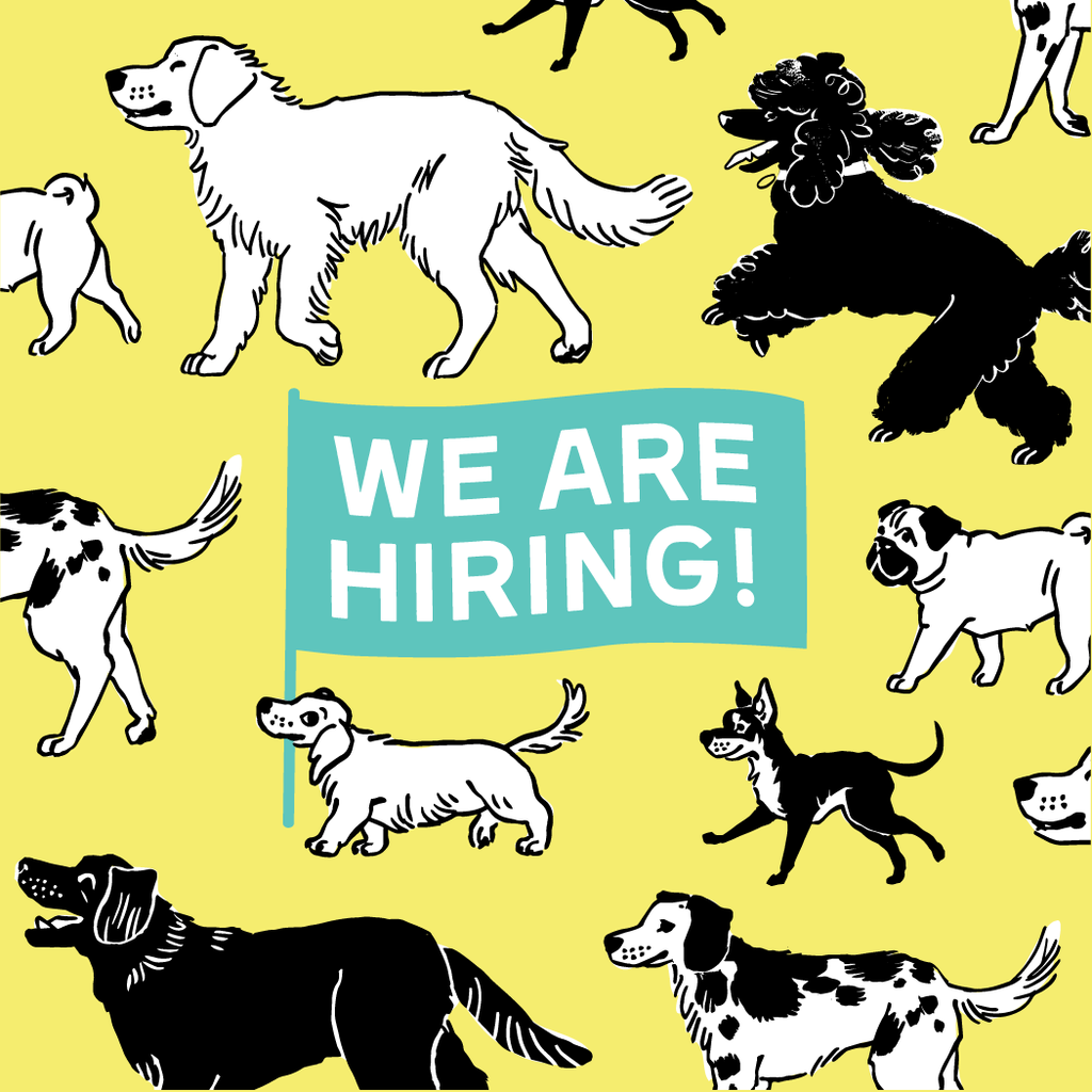We're Hiring A Designer