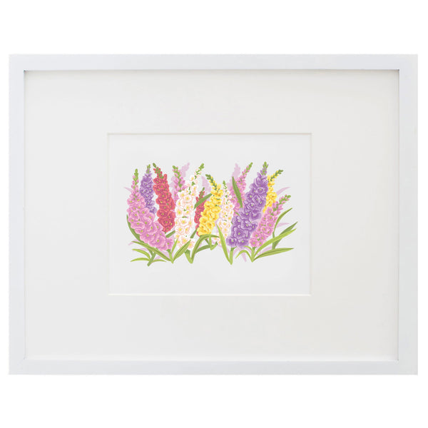 Garden Walk Foxgloves Art Print
