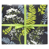 Ferns Gift Wrapping